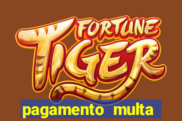 pagamento multa detran mg
